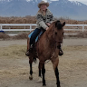 Meet your Posher, Harley